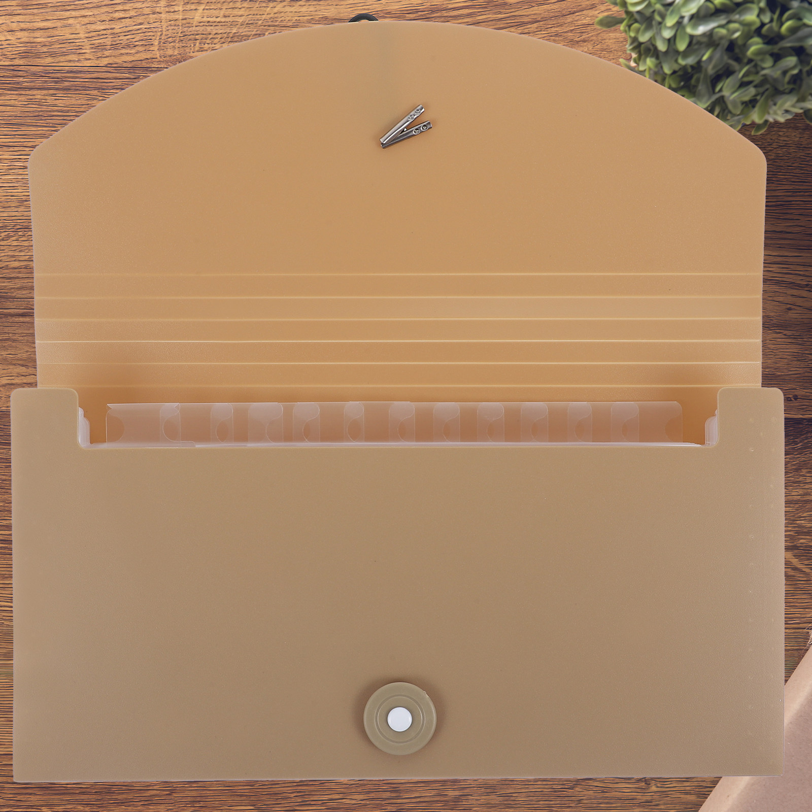 Expandable Accordion File Folder 13 Pockets - Папка-органайзер с 13 карманами, расширяющаяся, с